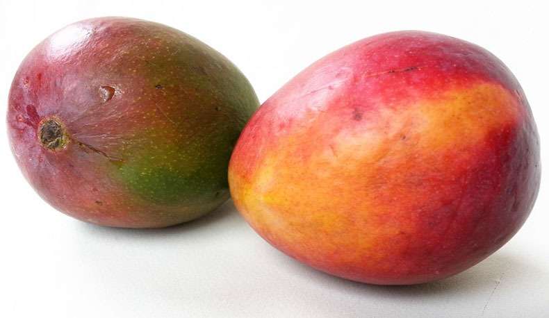 African Mango Extract