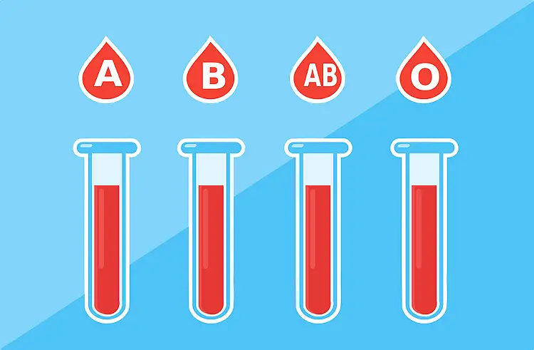 Blood Type Diet For Weight Loss