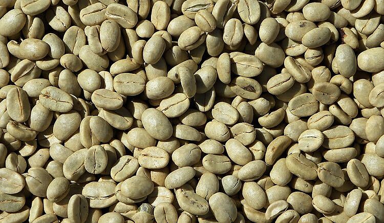Green Coffee Chlorogenic Acid
