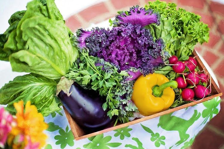 Why Antioxidants Are Good For You