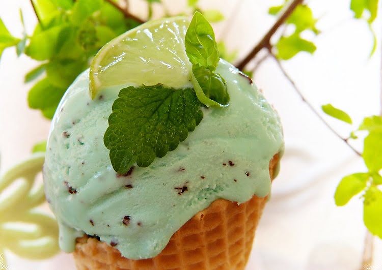 Stevia For Diabetics