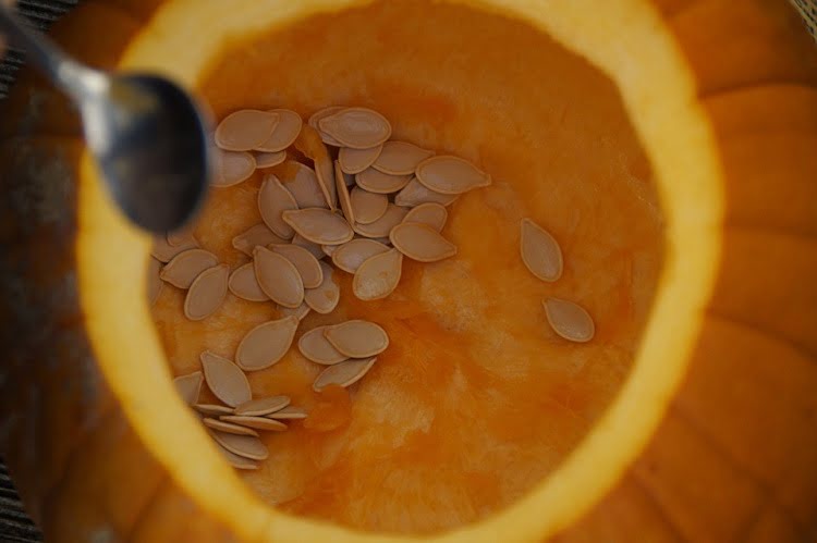 Pumpkin Seeds Benefits