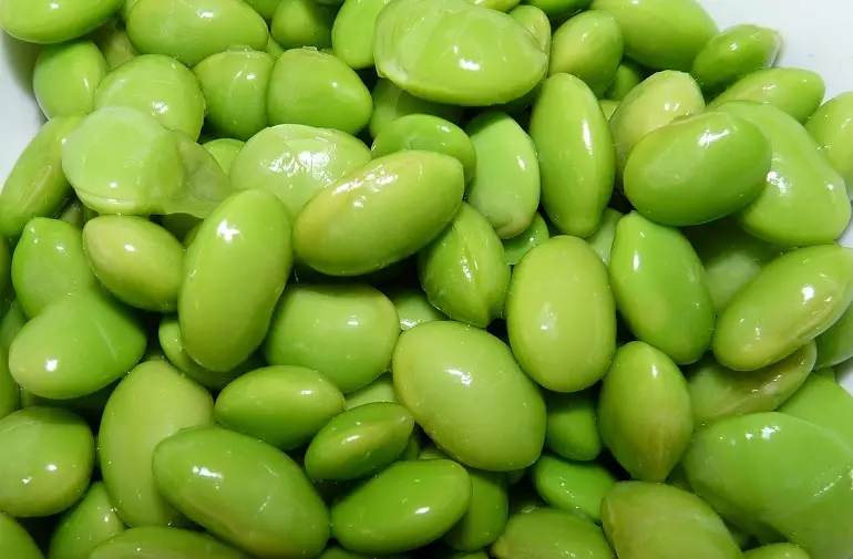 Is Soy Bad For You